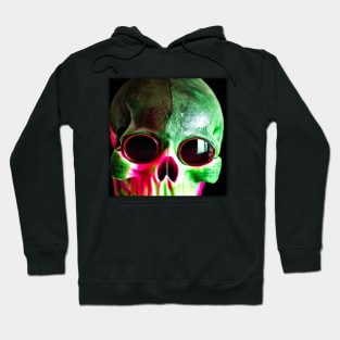 Melon Watermelon Wearing Sunglasses Hoodie